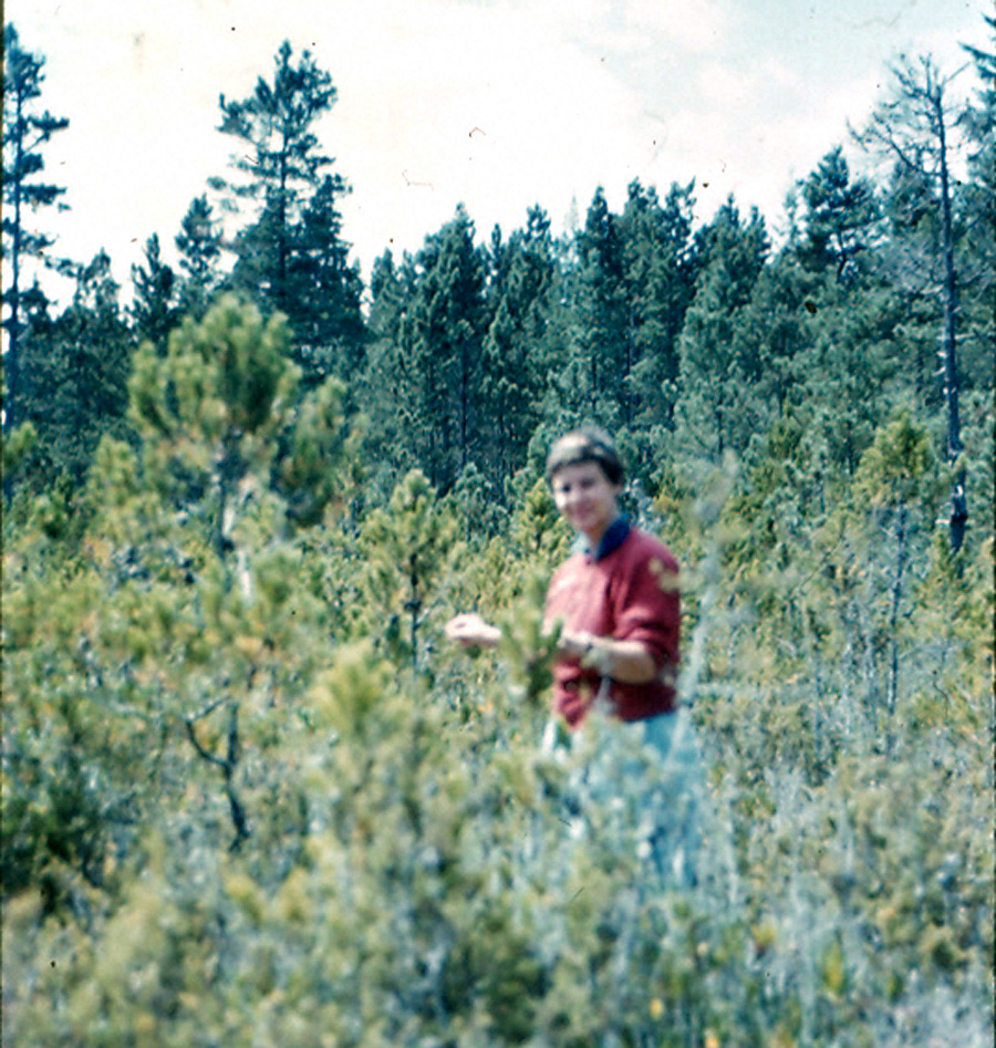 Box17 053 EML (Mendocino pygmy forest)9-14-61